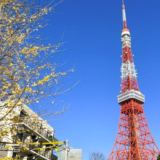東京でおすすめのAIスクール